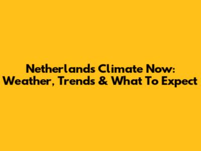 Netherlands Climate Now: Weather, Trends & What To Expect
