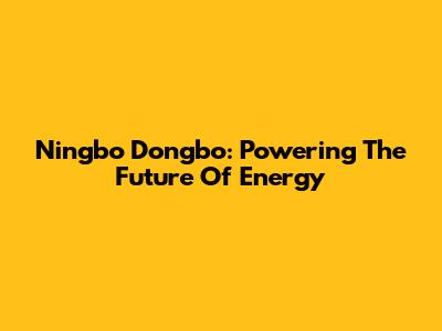 Ningbo Dongbo: Powering The Future Of Energy