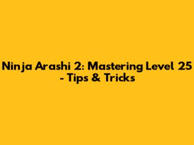 Ninja Arashi 2: Mastering Level 25 - Tips & Tricks