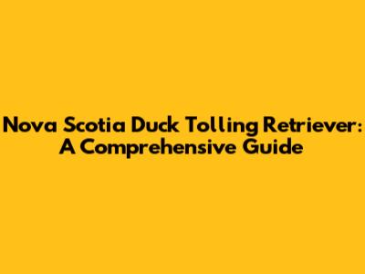 Nova Scotia Duck Tolling Retriever: A Comprehensive Guide