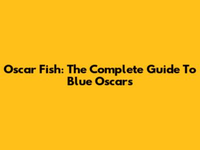 Oscar Fish: The Complete Guide To Blue Oscars
