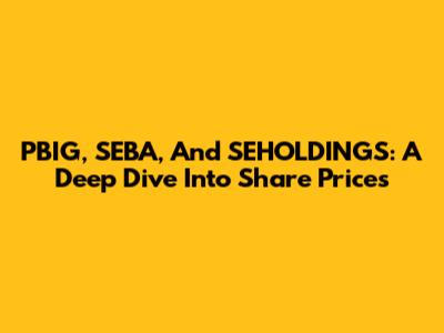 PBIG, SEBA, And SEHOLDINGS: A Deep Dive Into Share Prices