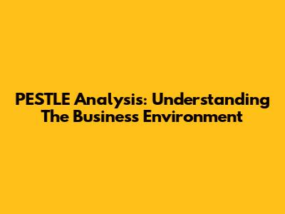 PESTLE Analysis: Understanding The Business Environment