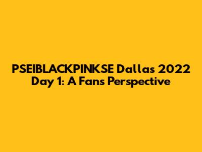 PSEIBLACKPINKSE Dallas 2022 Day 1: A Fan's Perspective