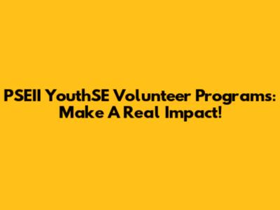 PSEII YouthSE Volunteer Programs: Make A Real Impact!
