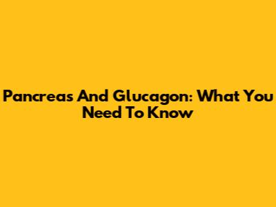 Pancreas And Glucagon: What You Need To Know