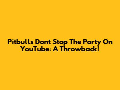 Pitbull's "Don't Stop The Party" On YouTube: A Throwback!