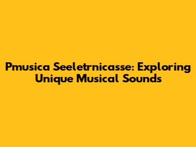 Pmusica Seeletrnicasse: Exploring Unique Musical Sounds