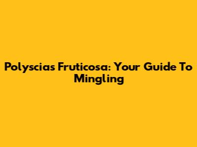 Polyscias Fruticosa: Your Guide To Mingling