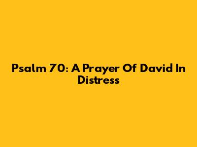 Psalm 70: A Prayer Of David In Distress