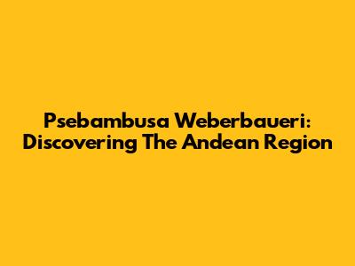Psebambusa Weberbaueri: Discovering The Andean Region