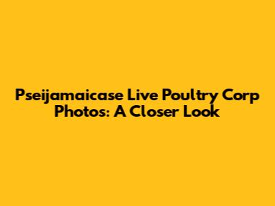 Pseijamaicase Live Poultry Corp Photos: A Closer Look