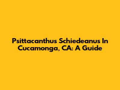 Psittacanthus Schiedeanus In Cucamonga, CA: A Guide