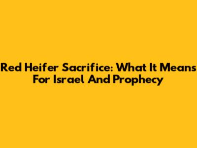 Red Heifer Sacrifice: What It Means For Israel And Prophecy