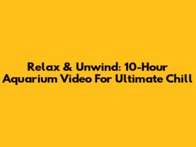 Relax & Unwind: 10-Hour Aquarium Video For Ultimate Chill