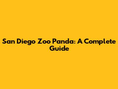 San Diego Zoo Panda: A Complete Guide