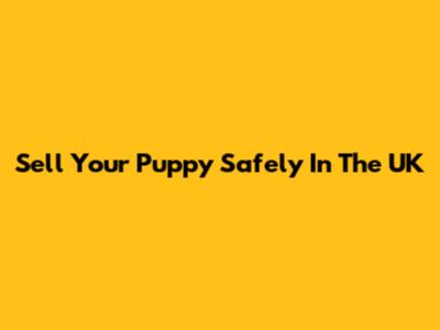 Sell Your Puppy Safely In The UK
