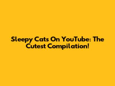Sleepy Cats On YouTube: The Cutest Compilation!