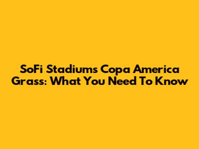 SoFi Stadium's Copa America Grass: What You Need To Know