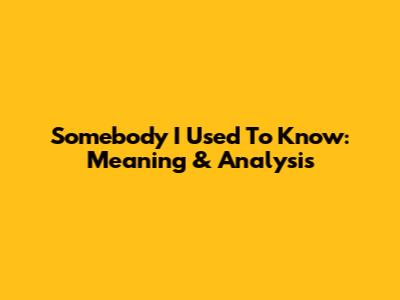 Somebody I Used To Know: Meaning & Analysis