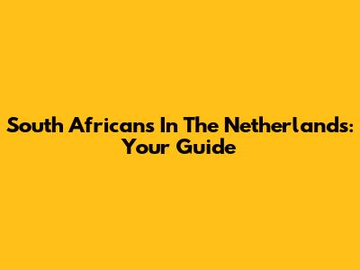 South Africans In The Netherlands: Your Guide