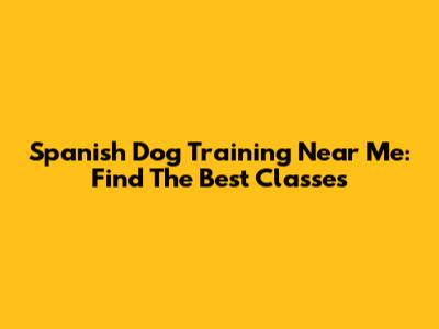 Spanish Dog Training Near Me: Find The Best Classes