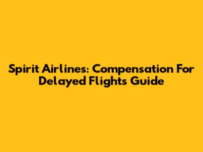 Spirit Airlines: Compensation For Delayed Flights Guide