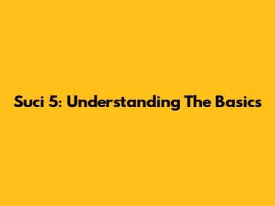 Suci 5: Understanding The Basics