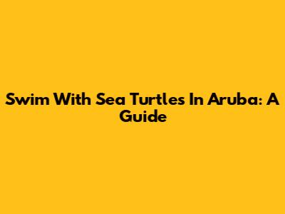 Swim With Sea Turtles In Aruba: A Guide