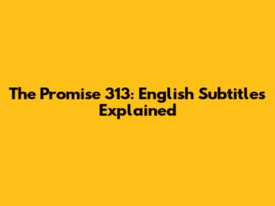 The Promise 313: English Subtitles Explained