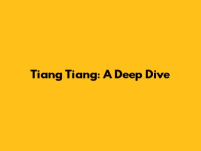 Tiang Tiang: A Deep Dive
