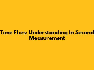 Time Flies: Understanding 'In Second' Measurement