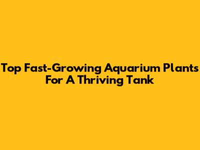 Top Fast-Growing Aquarium Plants For A Thriving Tank