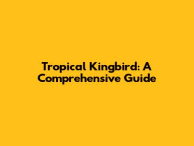 Tropical Kingbird: A Comprehensive Guide