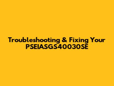 Troubleshooting & Fixing Your PSEIASGS40030SE