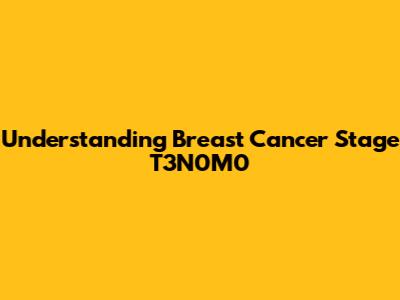 Understanding Breast Cancer Stage T3N0M0