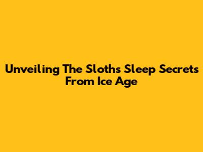 Unveiling The Sloth's Sleep Secrets From Ice Age