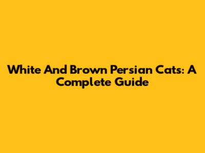 White And Brown Persian Cats: A Complete Guide