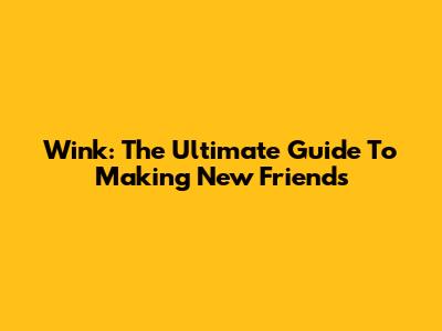 Wink: The Ultimate Guide To Making New Friends