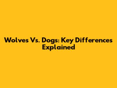 Wolves Vs. Dogs: Key Differences Explained
